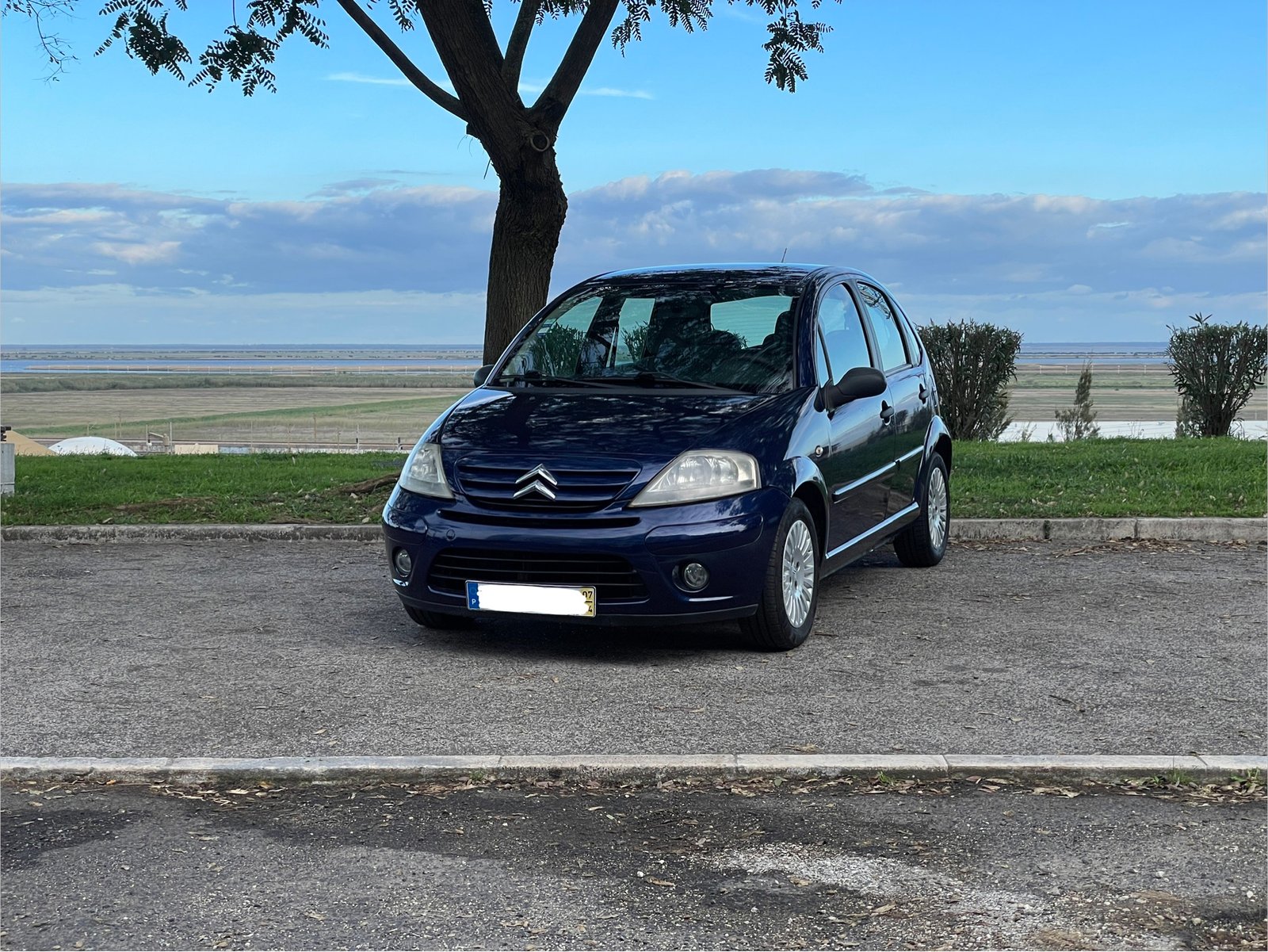 
								Citröen C3 1.4 HDI full									