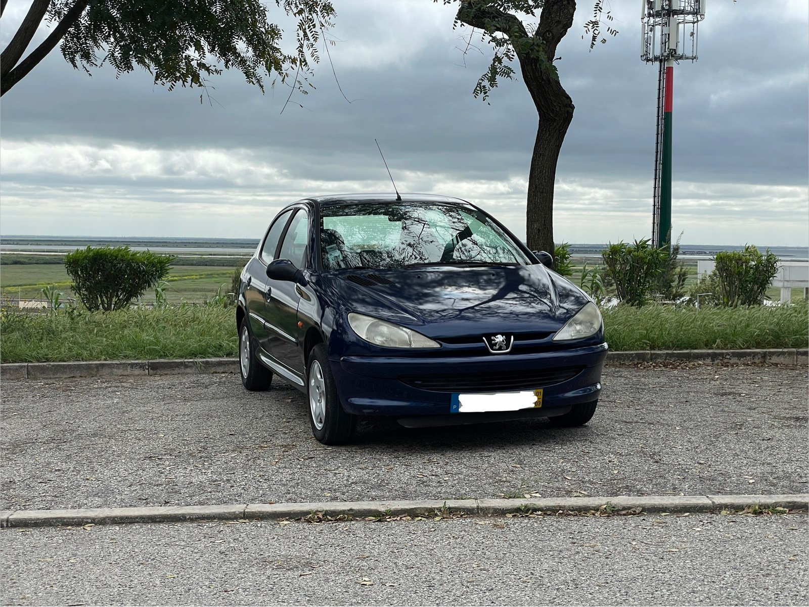
								Peugeot 206 full									