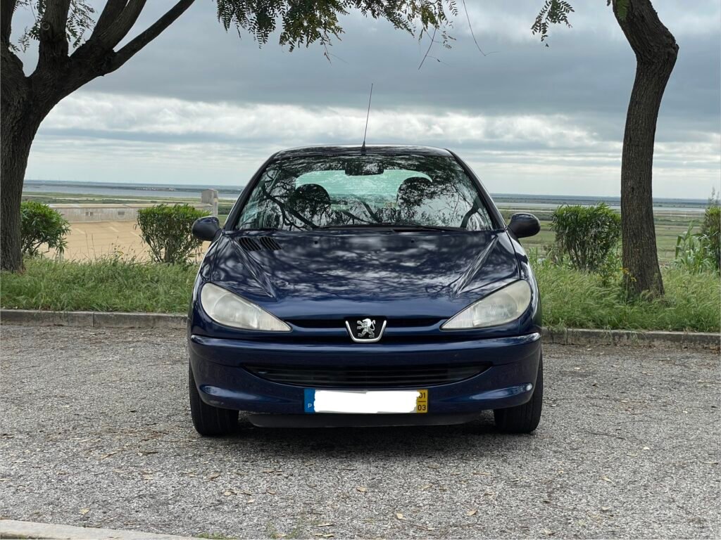 Peugeot 206 2001, foto 4