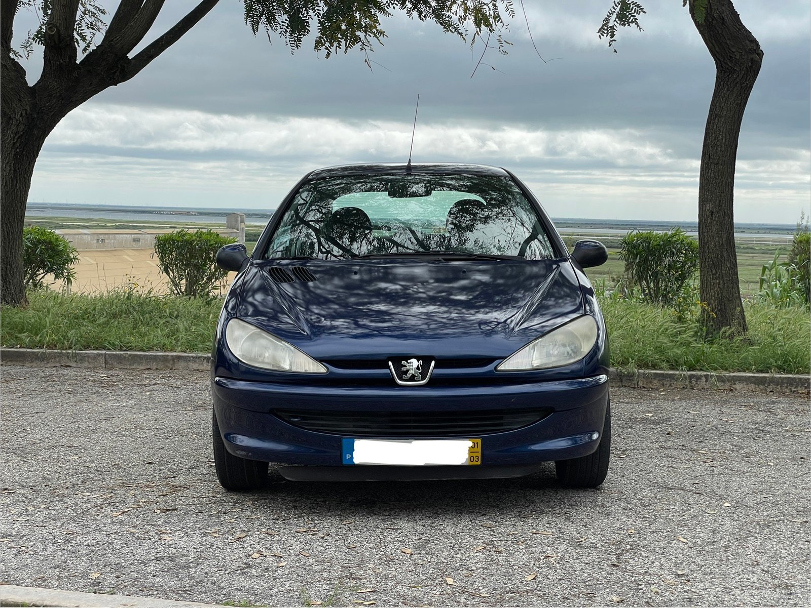 
								Peugeot 206 full									
