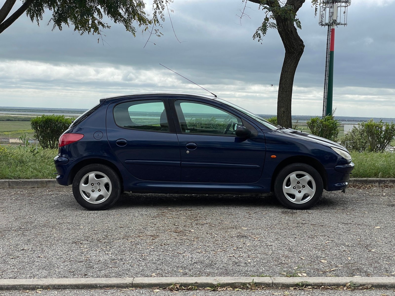 
								Peugeot 206 full									