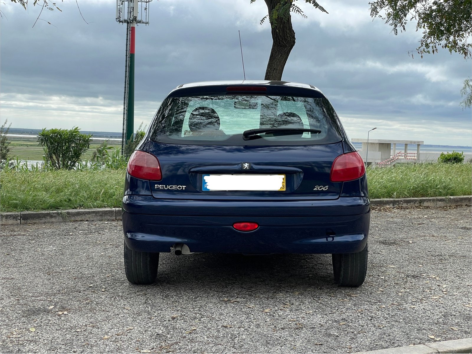 
								Peugeot 206 full									